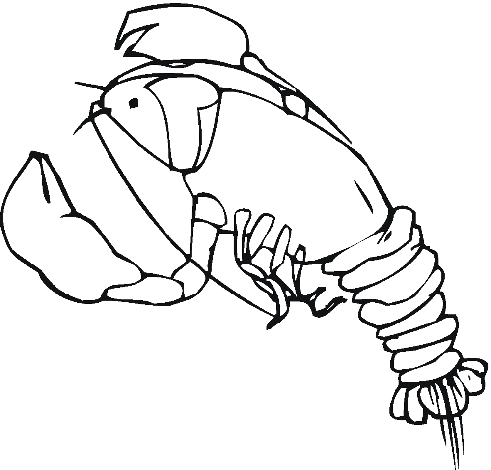 Desenho de Geral para colorir