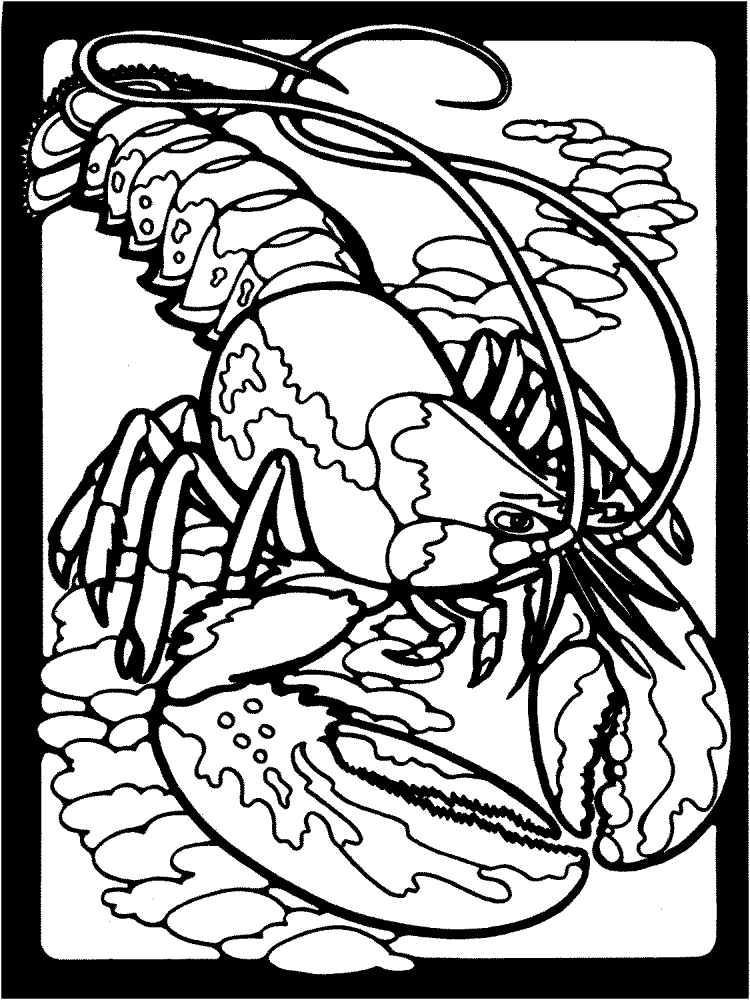 Desenho de Geral para colorir