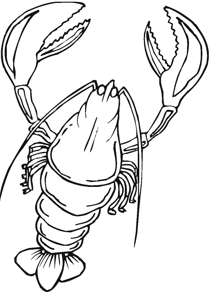 Desenho de Geral para colorir
