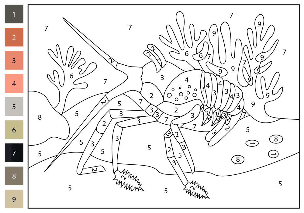 Desenho de Geral para colorir