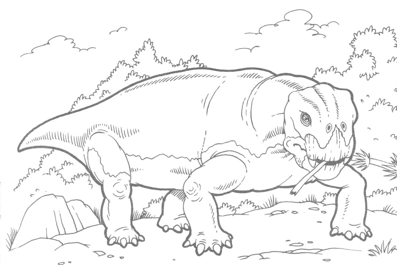 Desenho de Geral para colorir