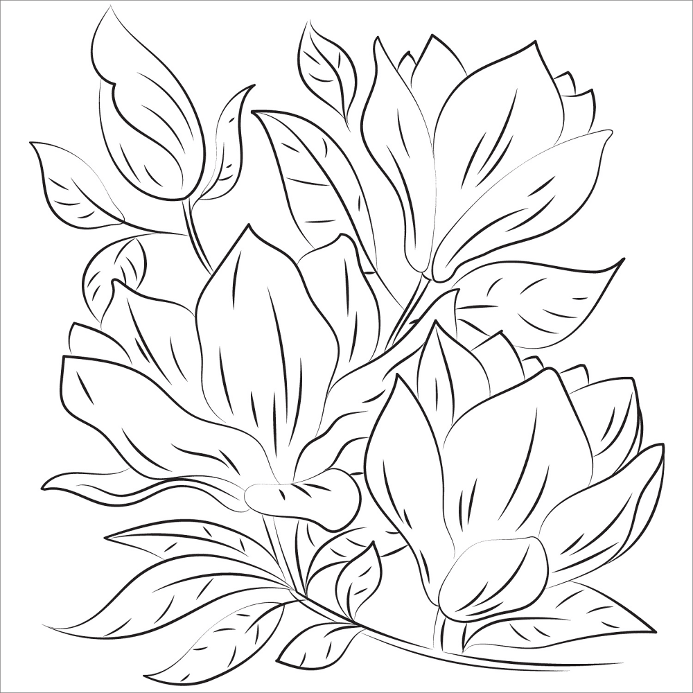 Desenho de Geral para colorir