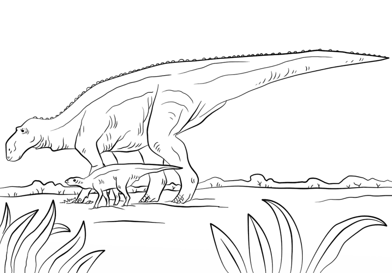Desenho de Geral para colorir
