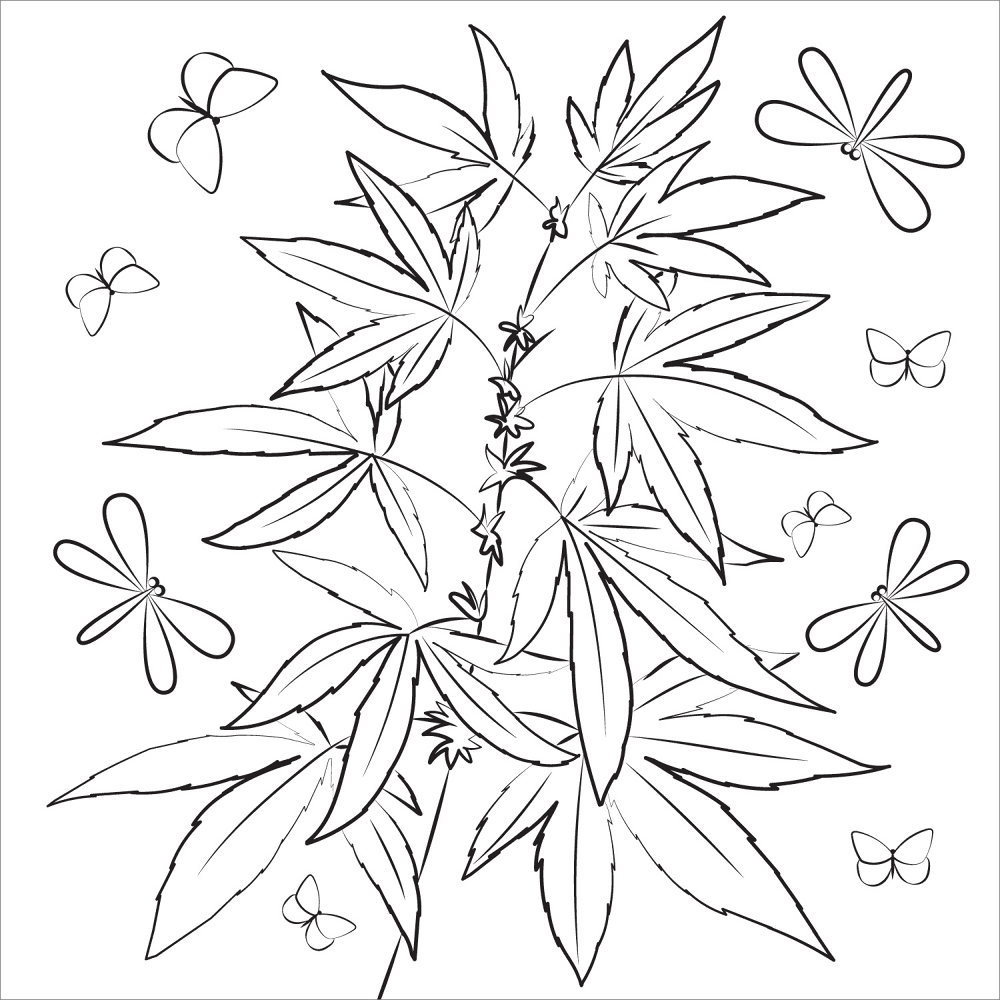 Desenho de Geral para colorir