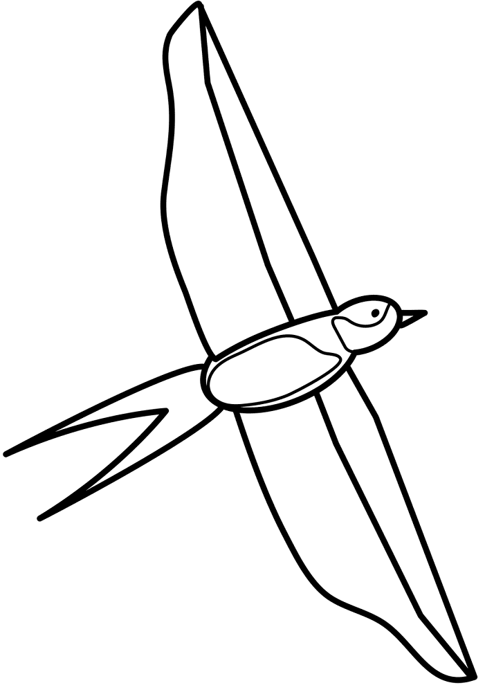 Desenho de Geral para colorir