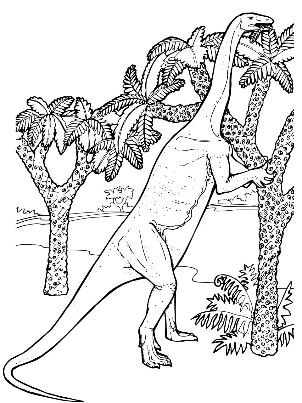 Desenho de Geral para colorir