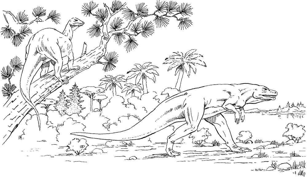 Desenho de Geral para colorir