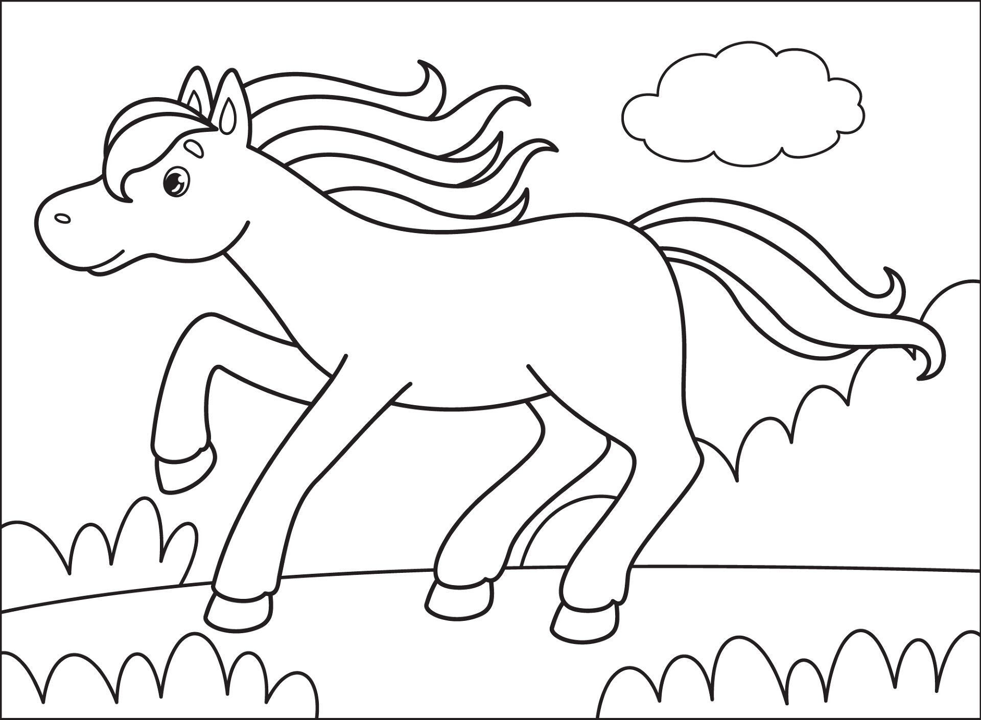 Desenho de Geral para colorir