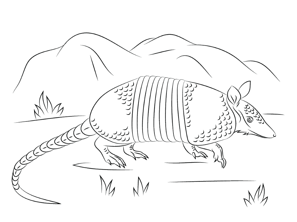 Desenho de Geral para colorir