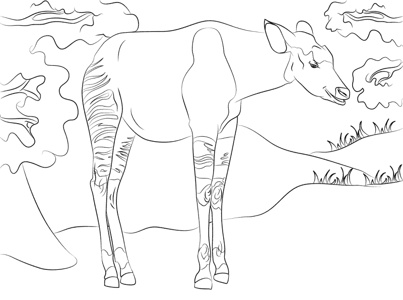 Desenho de Geral para colorir