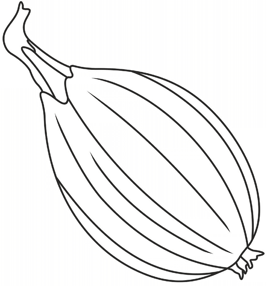 Desenho de Geral para colorir