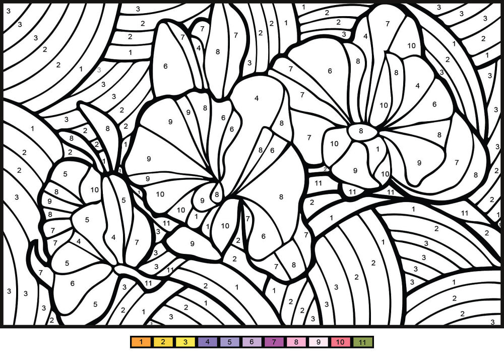 Desenho de Geral para colorir