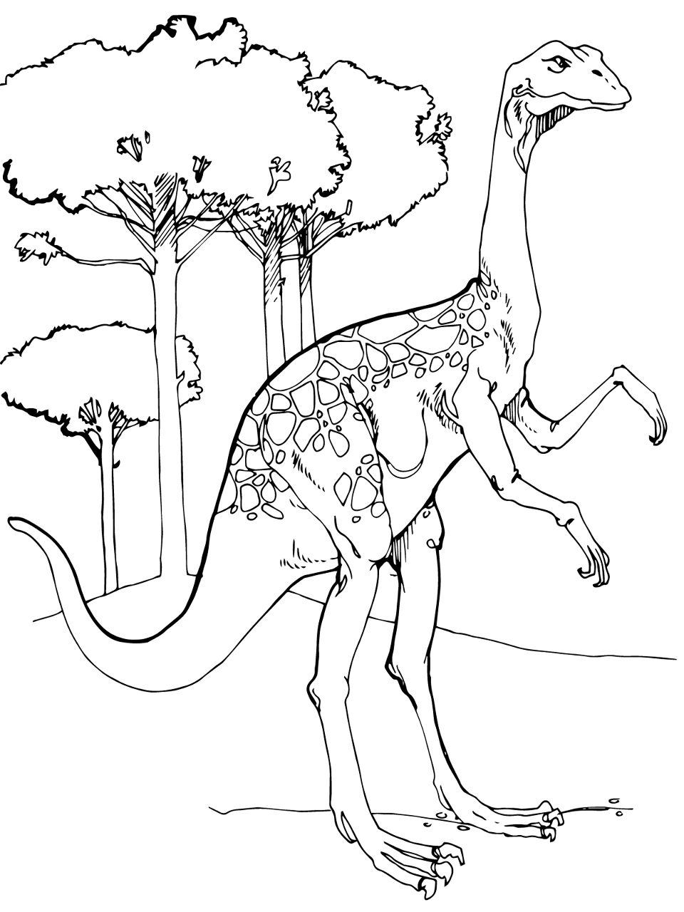 Desenho de Geral para colorir