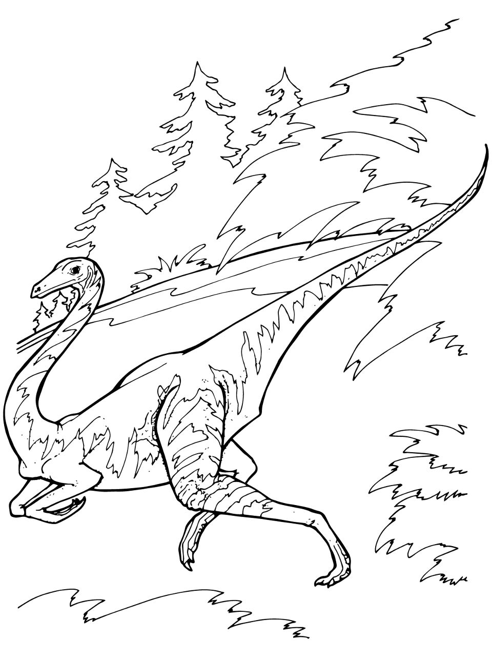 Desenho de Geral para colorir