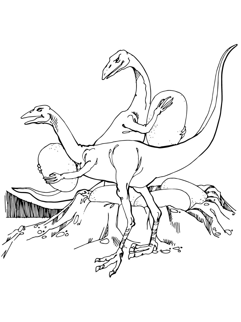 Desenho de Geral para colorir