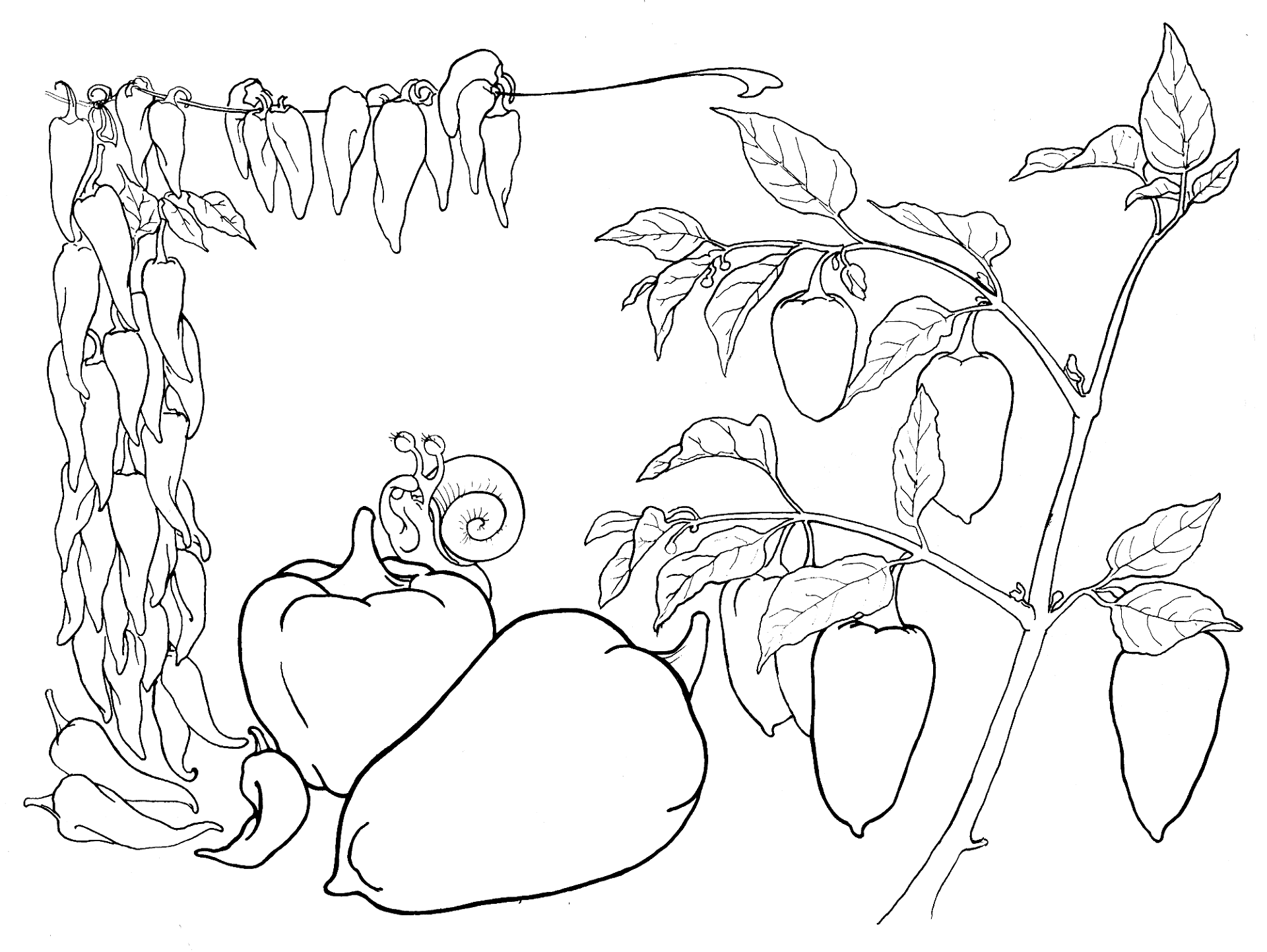 Desenho de Geral para colorir