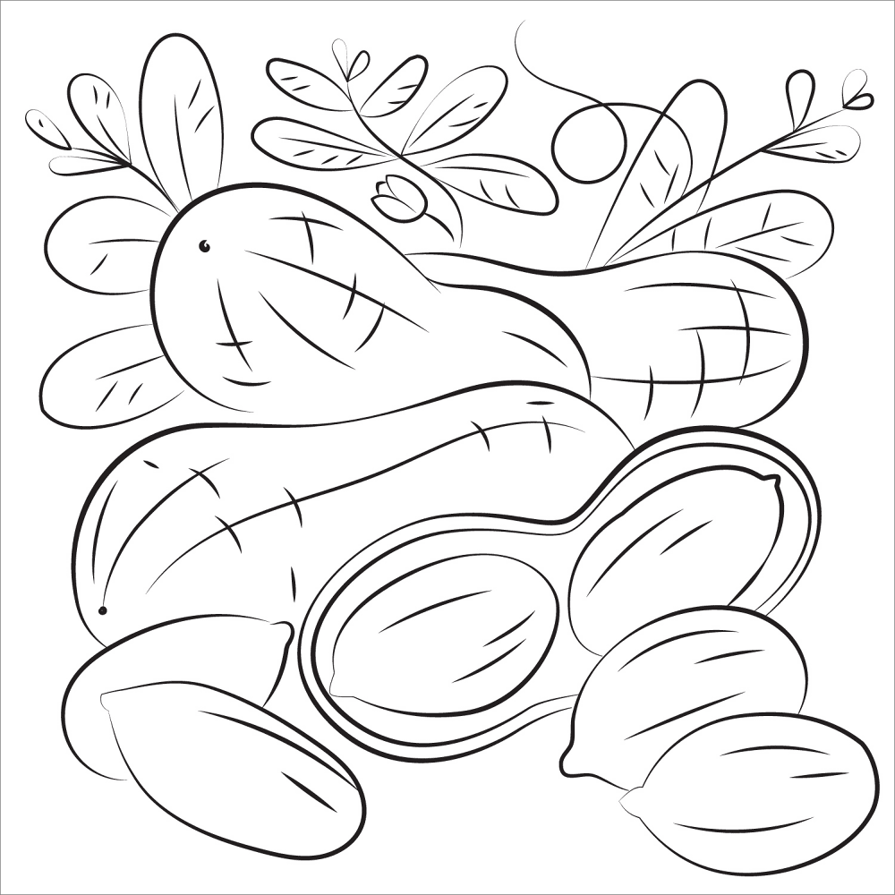 Desenho de Geral para colorir