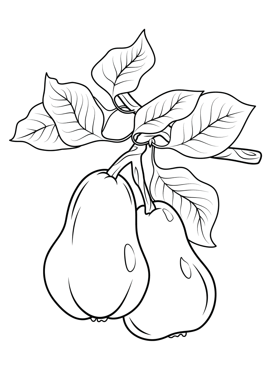 Desenho de Geral para colorir