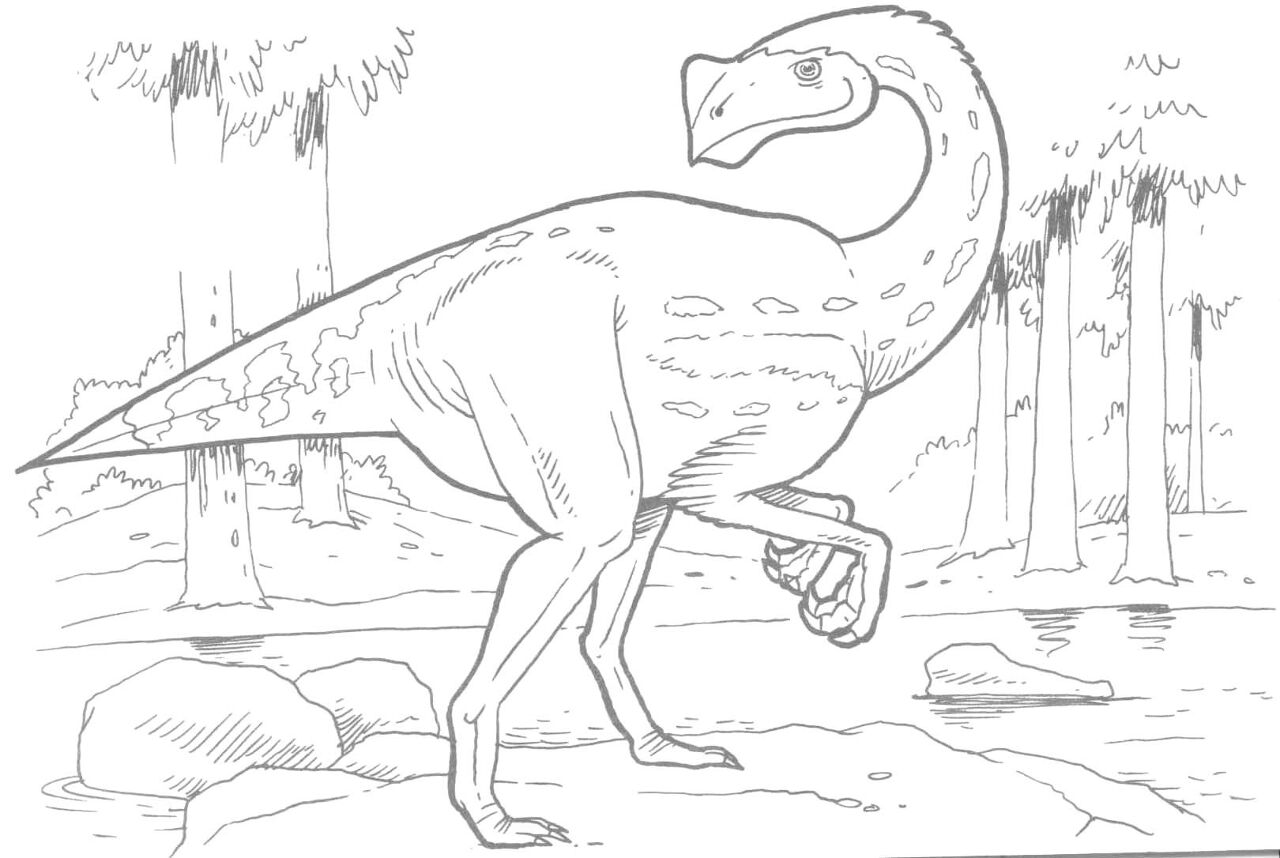 Desenho de Geral para colorir