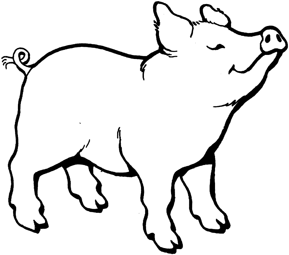 Desenho de Geral para colorir