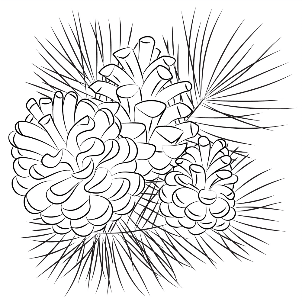Desenho de Geral para colorir