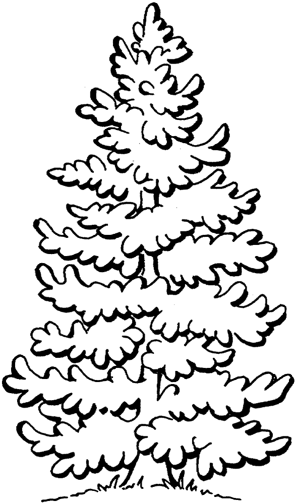 Desenho de Geral para colorir