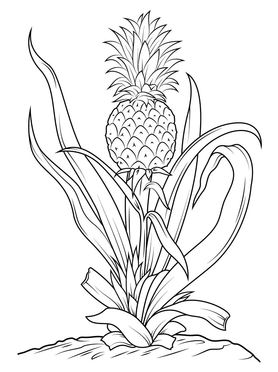 Desenho de Geral para colorir