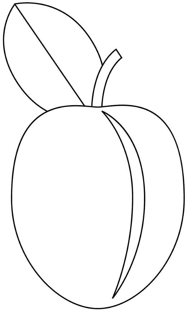 Desenho de Geral para colorir