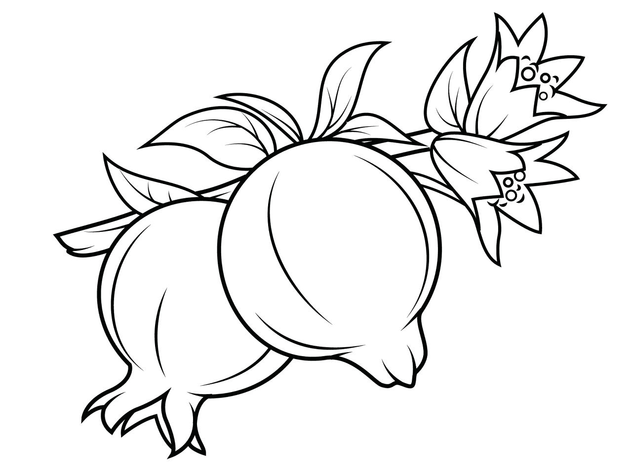 Desenho de Geral para colorir