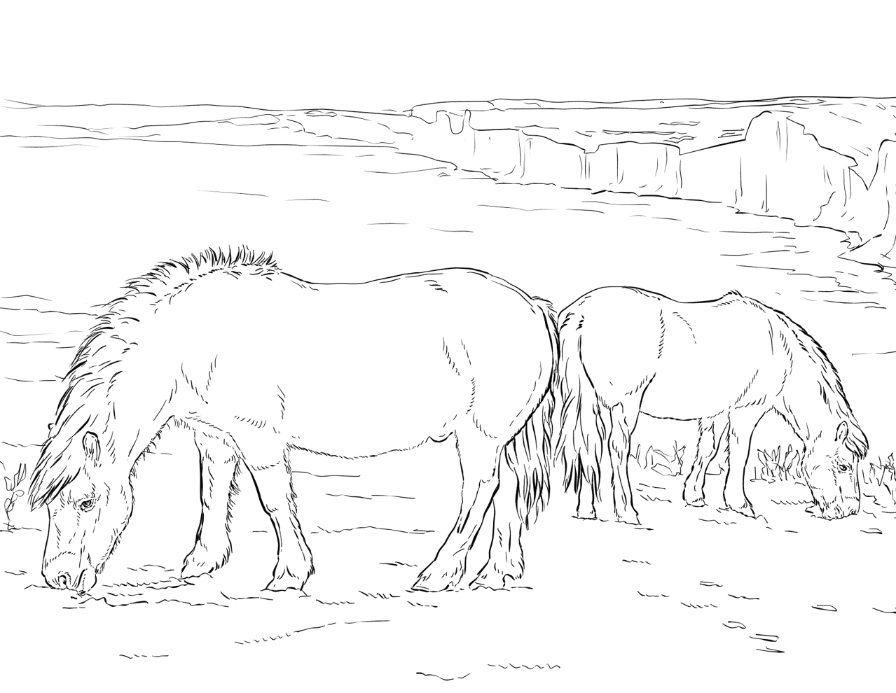 Desenho de Geral para colorir