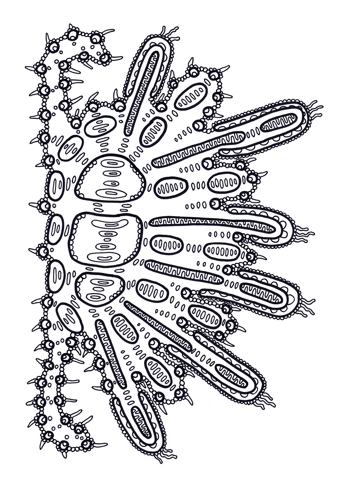 Desenho de Geral para colorir
