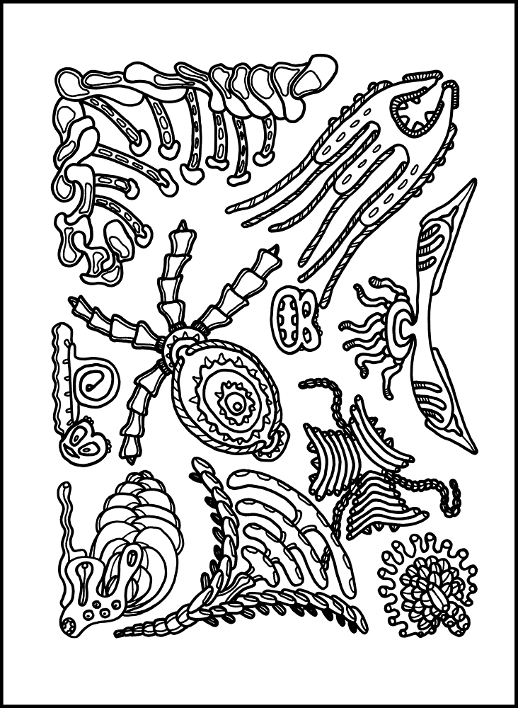 Desenho de Geral para colorir
