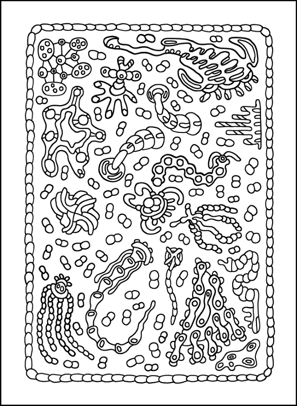 Desenho de Geral para colorir