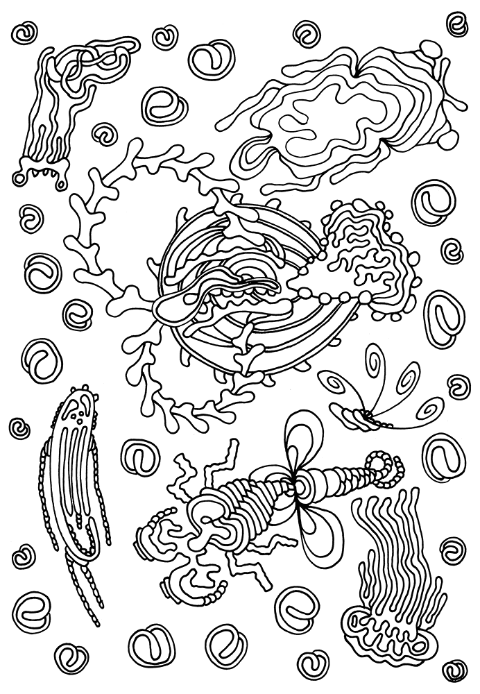 Desenho de Geral para colorir