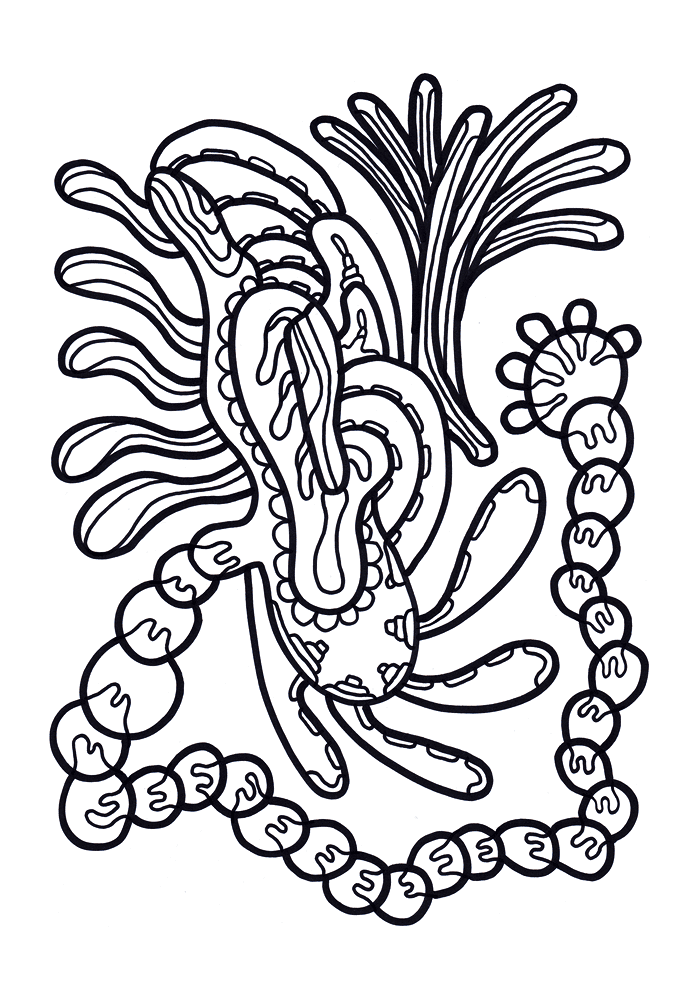 Desenho de Geral para colorir