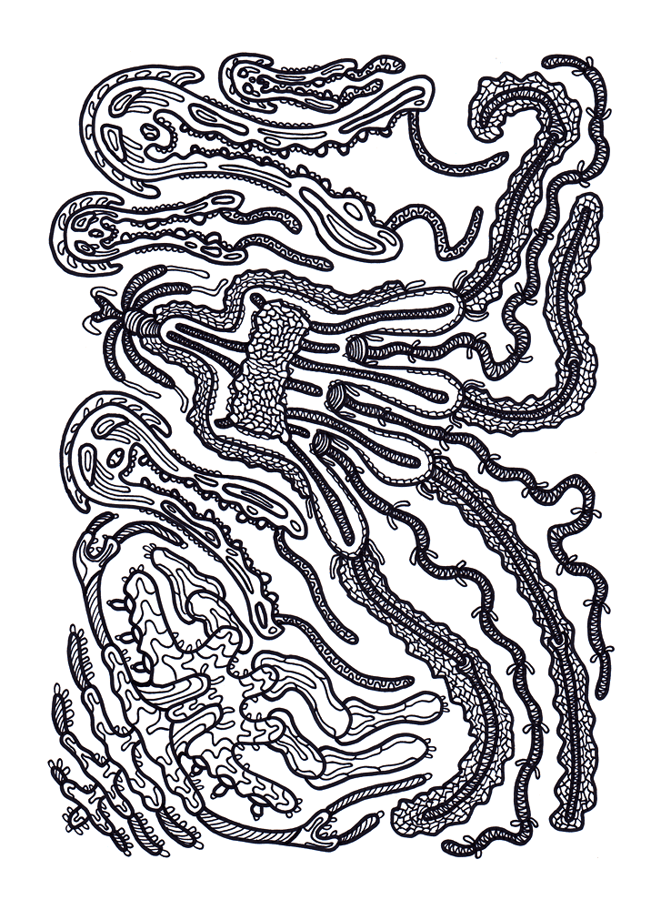 Desenho de Geral para colorir