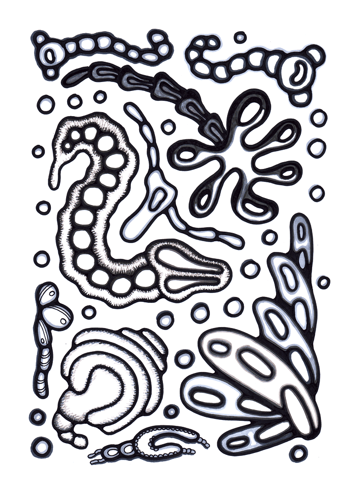 Desenho de Geral para colorir