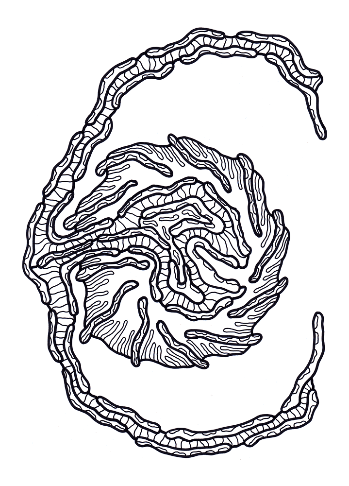 Desenho de Geral para colorir