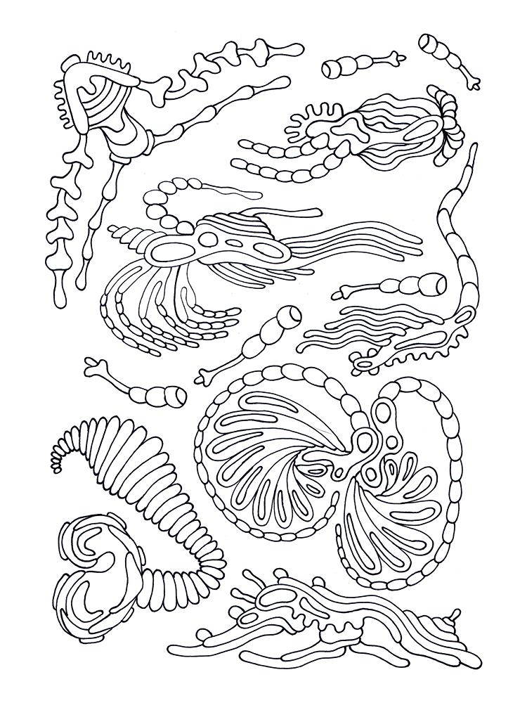 Desenho de Geral para colorir