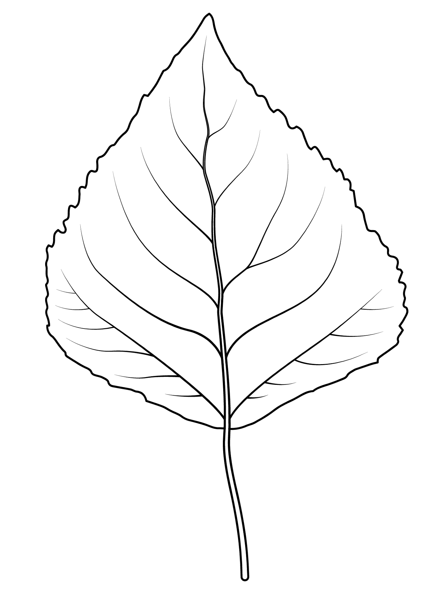 Desenho de Geral para colorir