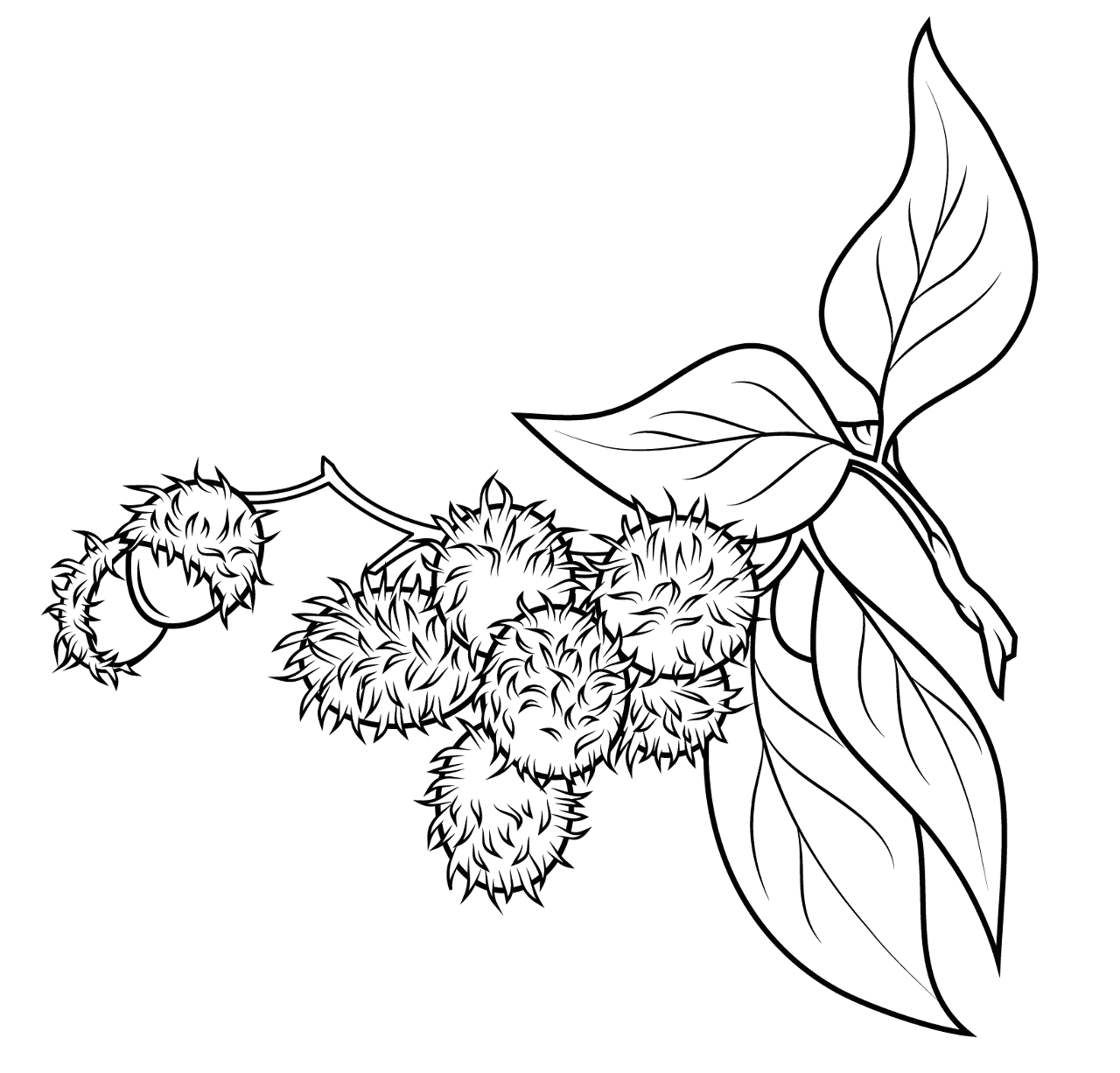 Desenho de Geral para colorir