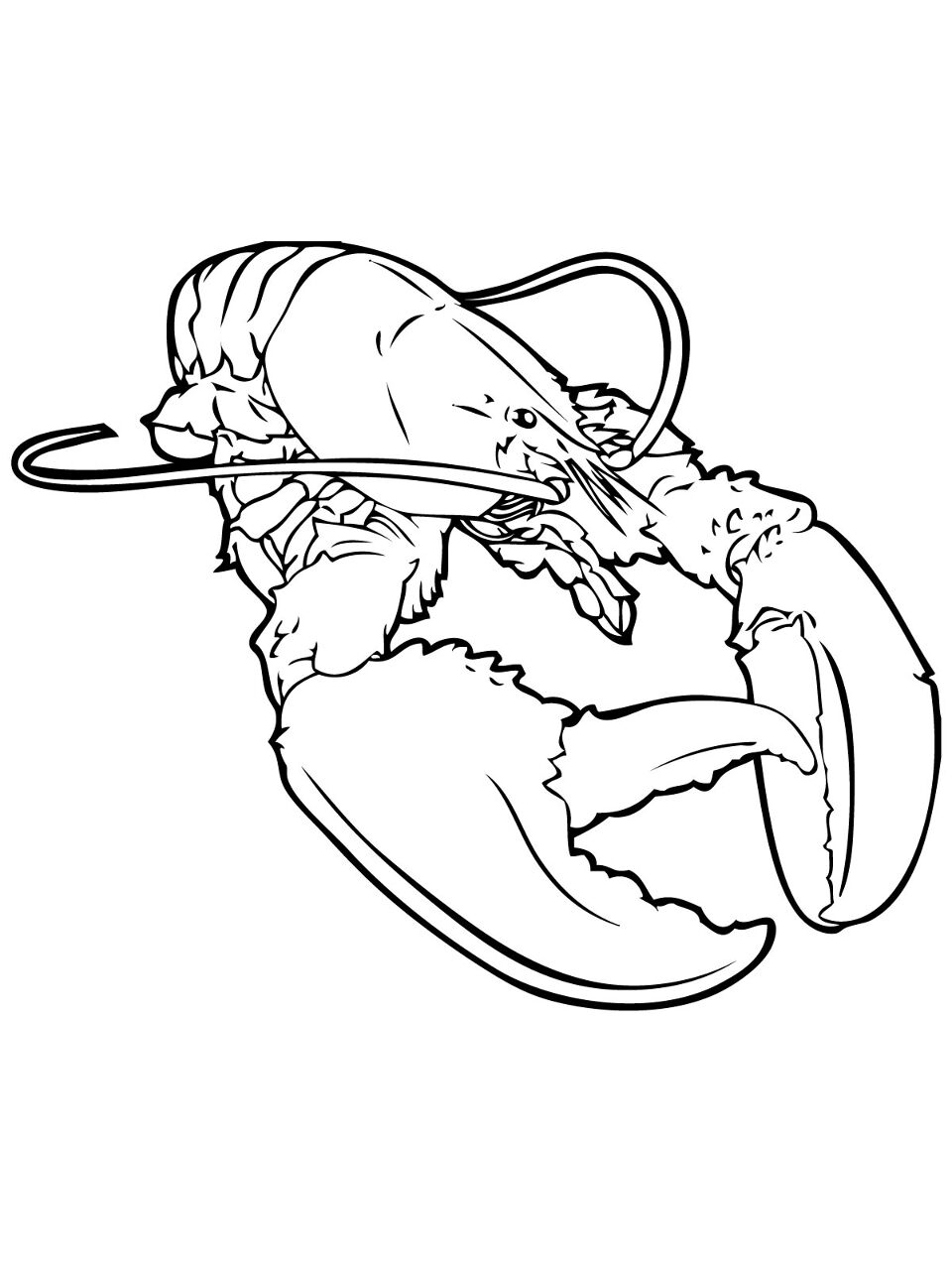 Desenho de Geral para colorir