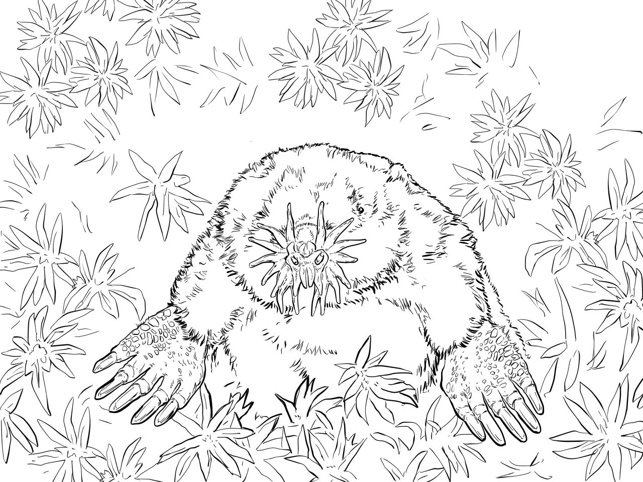 Desenho de Geral para colorir