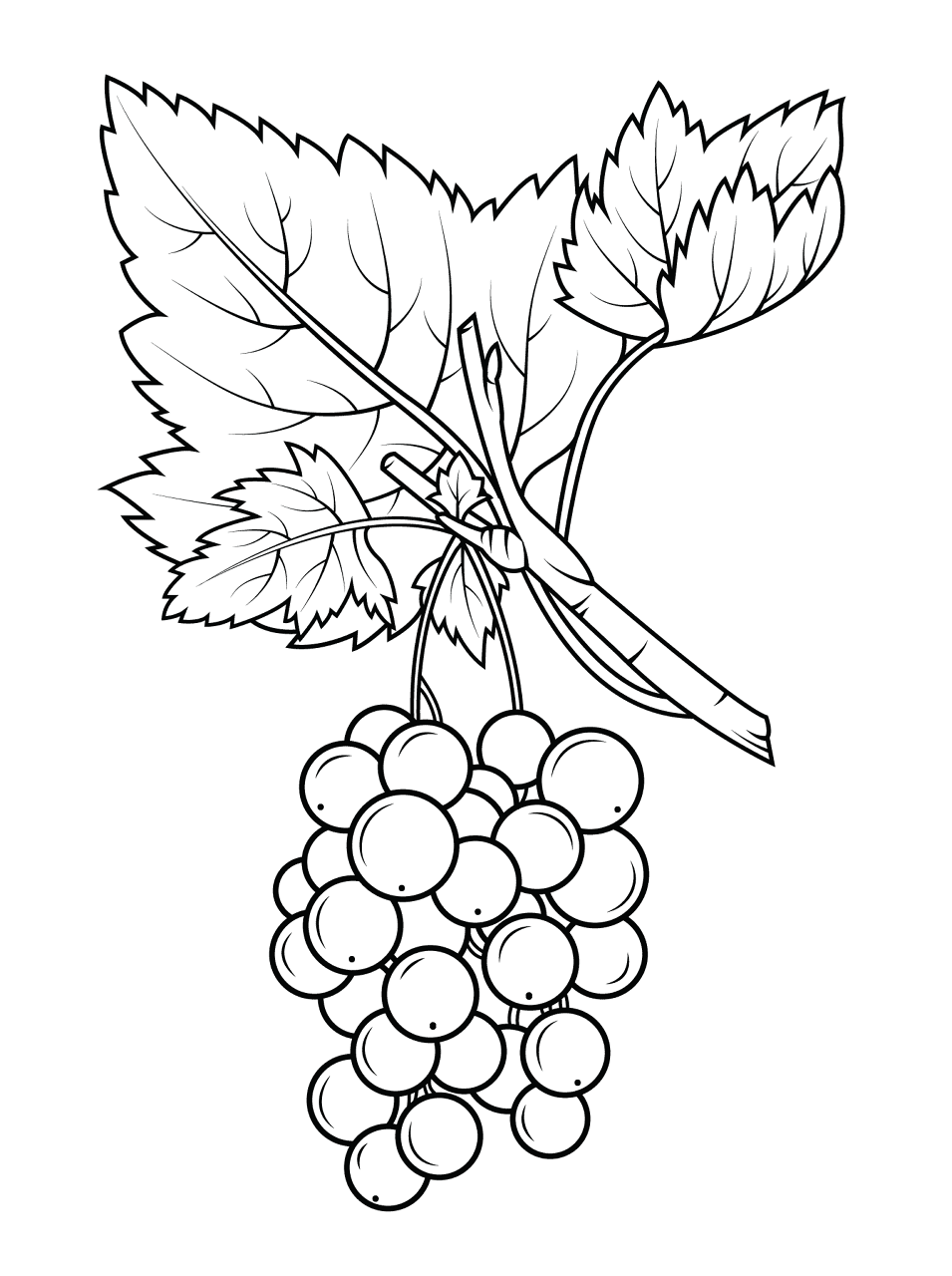 Desenho de Geral para colorir