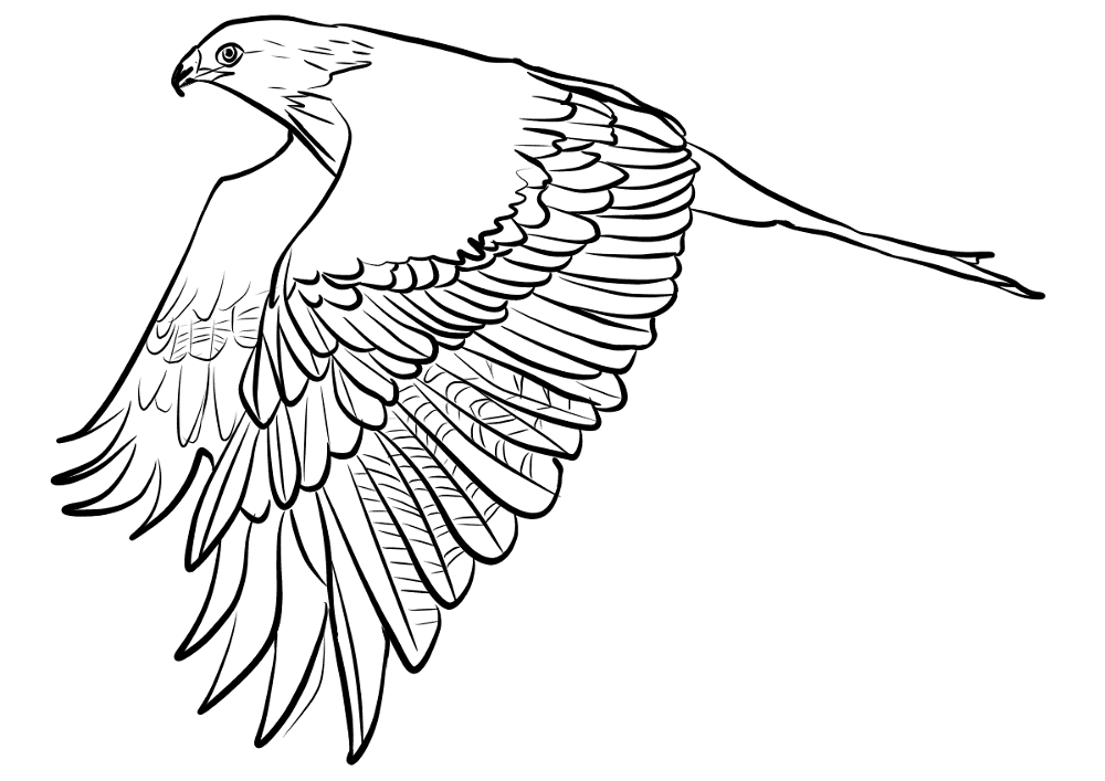 Desenho de Geral para colorir