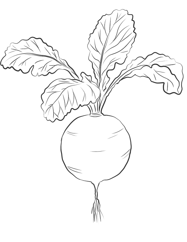 Desenho de Geral para colorir