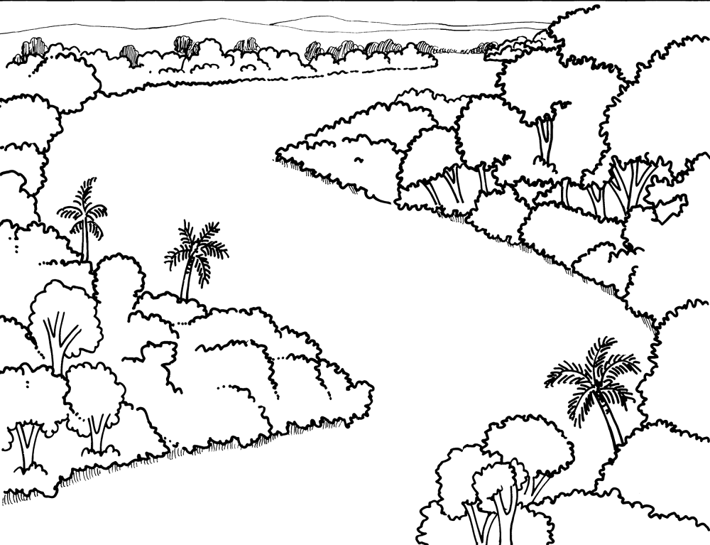 Desenho de Geral para colorir