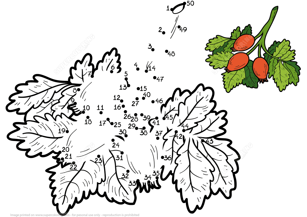 Desenho de Geral para colorir