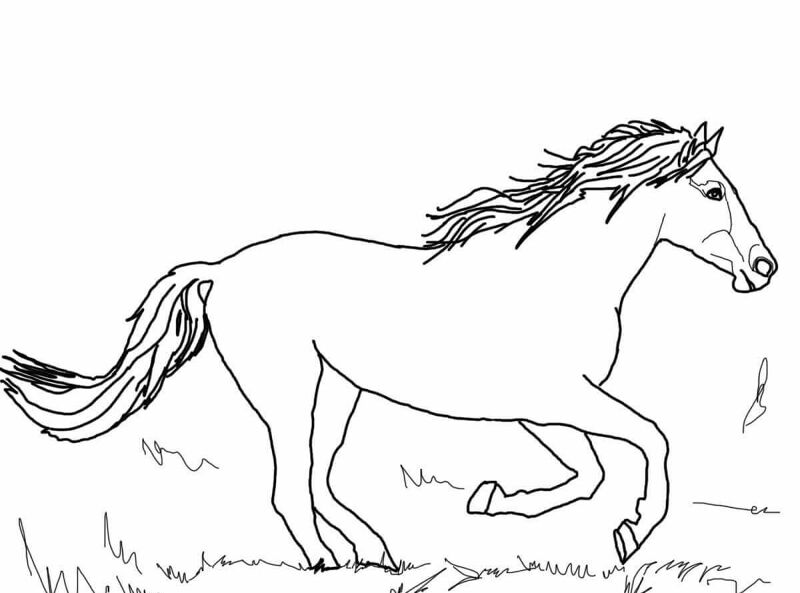 Desenho de Geral para colorir