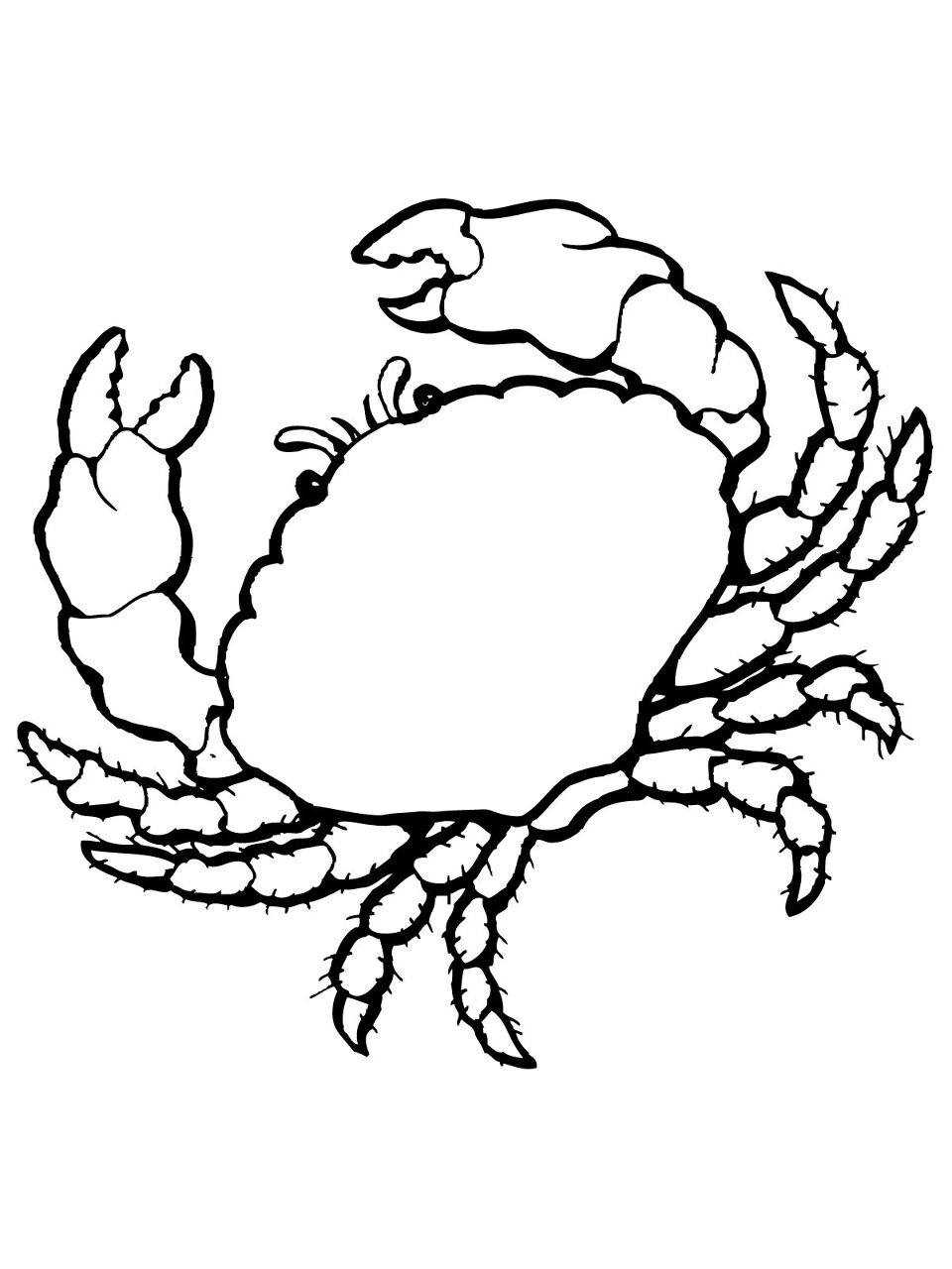 Desenho de Geral para colorir